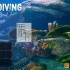 【单机游戏】《深海潜水模拟器(DeepDivingSimulator)》免安装v1.20白金版绿色中文版 下载
