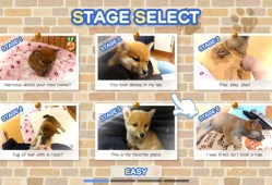 switch游戏《Pixel Game Maker Series Shiba Mekuri》英文版nsp下载