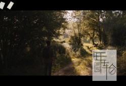 单机游戏《后门的世界 The World After》中文版下载（整合Retro Filter DLC）