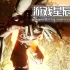 单机游戏《江户：僵尸复活 Ed-0: Zombie Uprising》中文版下载