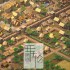 单机游戏《Ymir》免安装中文版下载（v0.5.0.9）