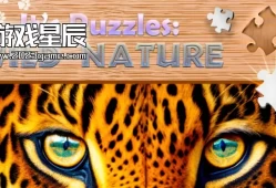 switch游戏《这是谜题：野性（It's Puzzles: Wild Nature）》英文版nsp下载