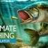 switch游戏《终极钓鱼模拟器 Ultimate Fishing Simulator》中文版nsp/xci下载
