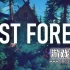 switch游戏《迷失的森林（Lost Forest)》英文版nsp下载