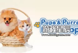 switch游戏《小狗和小狗宠物店（Pups & Purrs Pet Shop）》英文版nsp下载