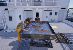 单机游戏《钓鱼：北大西洋 Fishing:North Atlantic》中文版下载v1.8.1143.17120