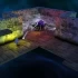 PS4游戏《Lumo》英文版pkg下载