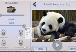 【试玩版】switch游戏《快乐拼图：迷人的动物 Jigsaw Fun Amazing Animals》中文版nsp下载【含2.0补丁