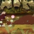 单机游戏《密林传奇 Tunche》免安装中文版下载v1.1.0.0版