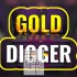 【原版+魔改9.2】switch游戏《淘金者 Gold Digger》英文版nsp/xci下载