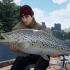 【7.55】PS4游戏《捕获物鲤鱼和大鱼 The Catch: Carp &amp; Coarse》中文版PKG下载1.06