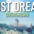 switch游戏《失落的梦想：杂草丛生 Lost Dream Overgrown》英文版nsp下载