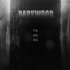 [单机游戏]《阴暗森林 Darkwood》中文版下载v1.4a