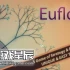 switch游戏《真菌世界 Eufloria HD》英文版nsp下载+1.0.1补丁