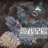单机游戏《灾厄堡垒/Cataclismo》中文版下载