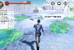 switch游戏《僵尸公路幸存者：最后的冬天 Road Z Survival The Last Winter》英文版nsp/xci下载