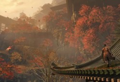 PC游戏《只狼：影逝二度 Sekiro: Shadows Die Twice》中文版下载 v1.06