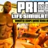 switch游戏《监狱生活模拟器（Prison Life Simulator Jail ）英文版nsp下载