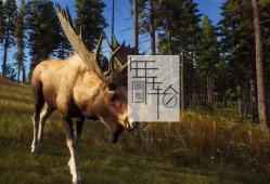 单机游戏《狩猎之道 Way of the Hunter》中文版下载【v1.23版|集成全DLC】