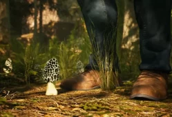 [单机游戏]《羊肚菌狩猎游戏 Morels The Hunt》中文版下载