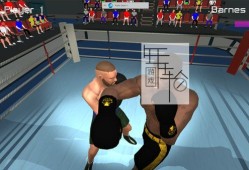 【原版+魔改9.2】switch游戏《奥林匹克拳击 Olympic Boxing》英文版nsp/xci下载