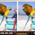 switch游戏《大家来找茬：聚会.Spot The Differences Party》英文版NSP下载