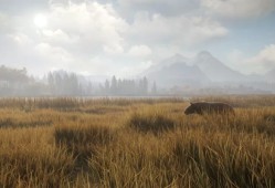PC游戏《猎人：荒野的召唤 theHunter: Call of the Wild》中文版下载 v3028143+集成DLC