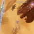 switch游戏《天使之翼 Pawarumi》中文版nsp/xci整合版下载【含1.02补丁】