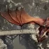 单机游戏《博德之门3/Baldurs Gate 3》中文版下载v4.1.1.4953010
