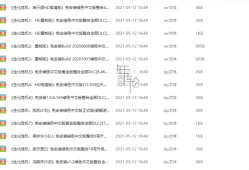 单机游戏《生化危机系列14部作品合集》免安装简繁中文绿色版下载