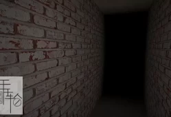 单机游戏《COMA：迷失在迷宫中 COMA: Lost in the Maze》英文版下载