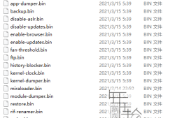 [工具] 7.55有效载荷bin文件+PS4游戏 Payload Injector bin 注入器下载