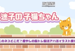 switch游戏《迷路的小猫 迷子の子猫ちゃん》日文版nsp下载