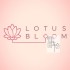 switch游戏《莲花绽放 Lotus Bloom》英文版nsp下载