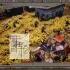 单机游戏《最后的天堂 The Last Haven》免安装中文版下载v3.02.27