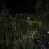 回归：疯狂 Pulang : Insanity 单机游戏免安装中文版下载（导演剪辑版）