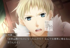 switch游戏《三国恋战记~追忆~+学园恋战记》日文版nsz下载