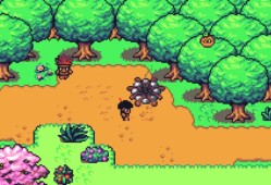 热带生存/Tropicalia: a Brazilian Game